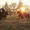 Ausritte im Western-Stil