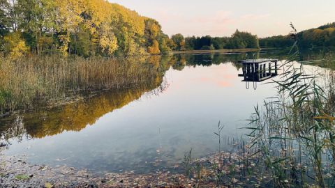 Blick auf Bornsee