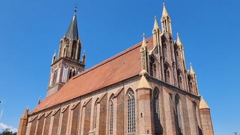 Markttreiben an der Konzertkirche