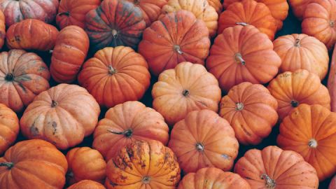 pumpkin-7496159_1280