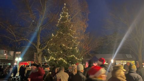 Tannenbaum Marktplatz