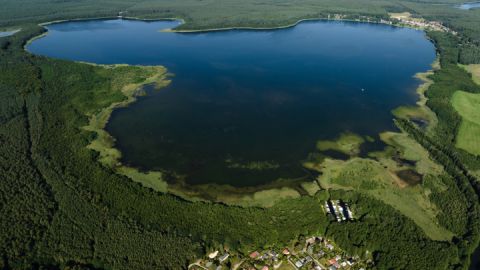 Feriendorf großer Labussee - Klein Quassow am großen Labussee