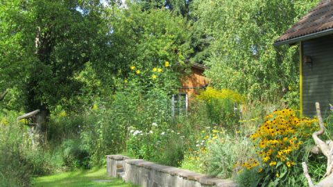 Terrasse vom Weidenhaus - eingewachsen in "wilder" Natur