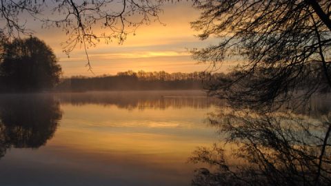 Am Ufer des Carwitzer See