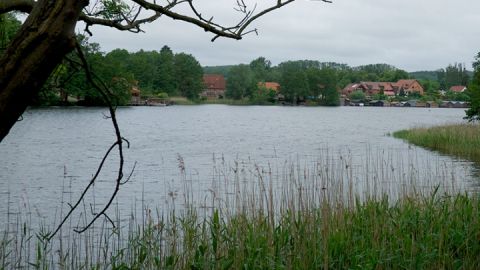 Am Feldberger Haussee