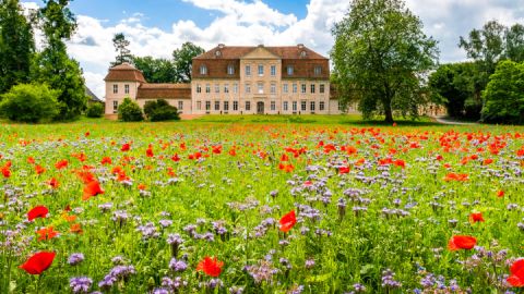 schloss-kummerow-nordfassadealexander-rudolph-2017