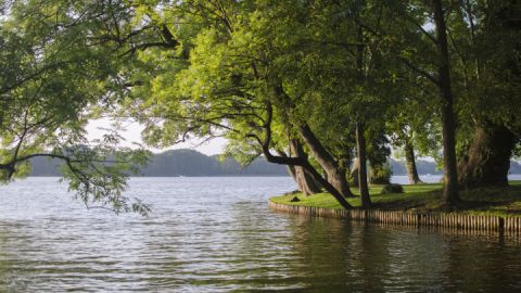 Schlossinsel Mirow