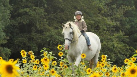 Landurlaub Diemitz_Urlaub für die Kleinsten