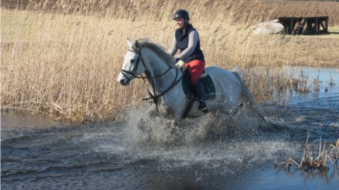 reitanlage-rodenberg_2