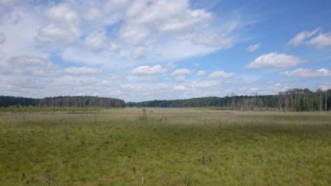 Blick vom Aussichtsturm Großer Serrahnsee