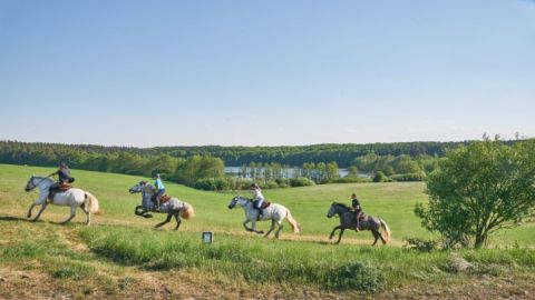 Gestuet Herian Galopp-am-hinbergsee