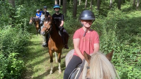 Ausritte auf eigenen Reitwegen im Wald und an Feldern