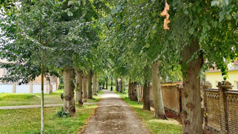 allee-kleingemacht