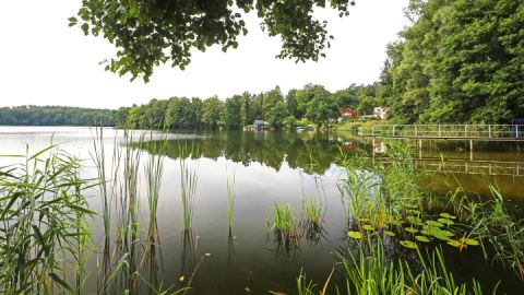 Badestelle großer Prälanksee_2