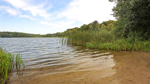 Badestelle großer Prälanksee_3