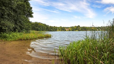 Badestelle großer Prälanksee_4