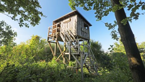 Aussichtskanzel Seeadler_4