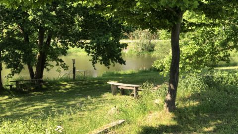 Der Mühlenteich (südliches Ende des Brohmer Stausees) direkt am Platz