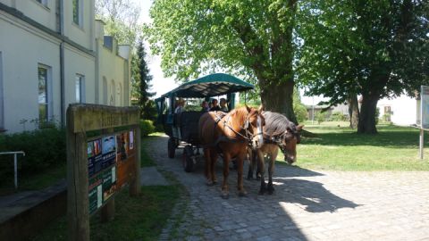 Gutshaus Boek 