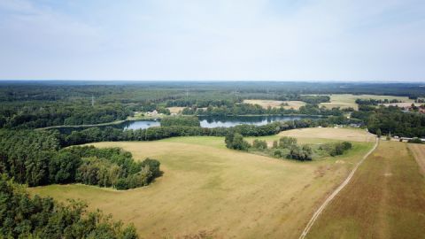 Klimawald Neustrelitz Umgebung