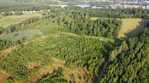 Klimawald Fleesensee Luftbild