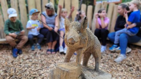 In der Wildschweinkuhle