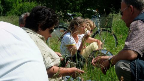 picknik-beim-radwandern