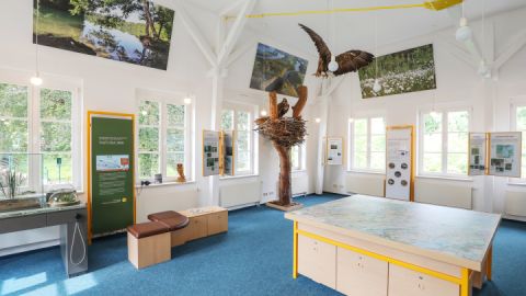 Naturparkausstellung zum Naturpark Feldberger Seenlandschaft im Haus des Gastes_1