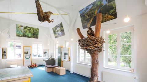 Naturparkausstellung zum Naturpark Feldberger Seenlandschaft im Haus des Gastes_2