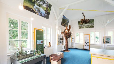 Naturparkausstellung zum Naturpark Feldberger Seenlandschaft im Haus des Gastes_3