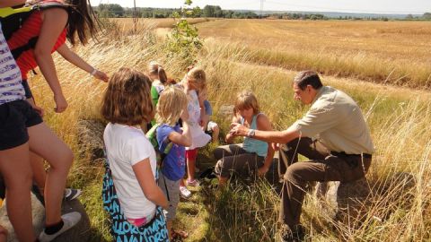 Wanderung mit dem Naturparkranger