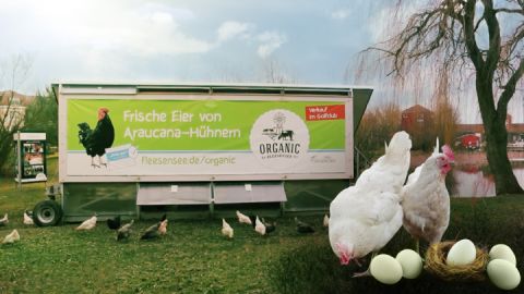 Hühner - Projekts „Organic" Hotel- und Sportresort Fleesensee