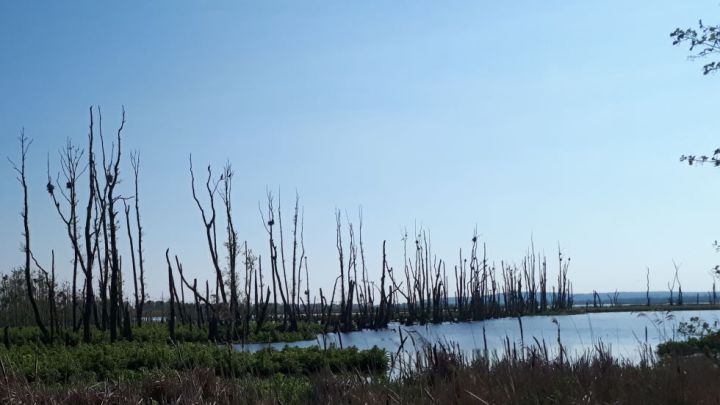 Ausblick auf die Große Rosin auf Radtour Familie Aalbude-Neukalen-Salem