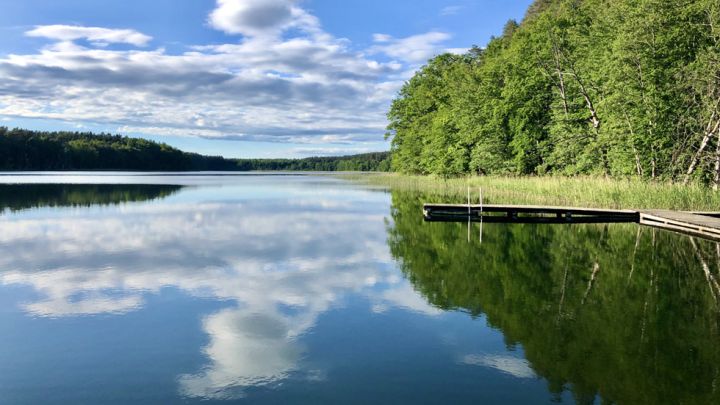 Mühlensee auf der Wandertour Müritz-Nationalpark Weg