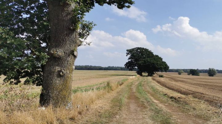 Radweg auf der Rundtour Demmin-Nehringen-Dargun