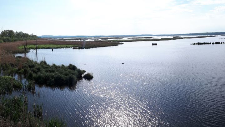 Ausblick auf Kummerower See auf Radtour Familie Sommersdorf-Verchen-Neukalen