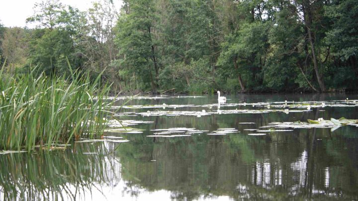 24-08 Paddeln auf der Peene, Archiv Naturpark