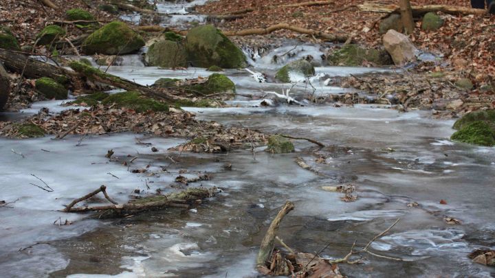 Ob Schietwetter oder Winterwald