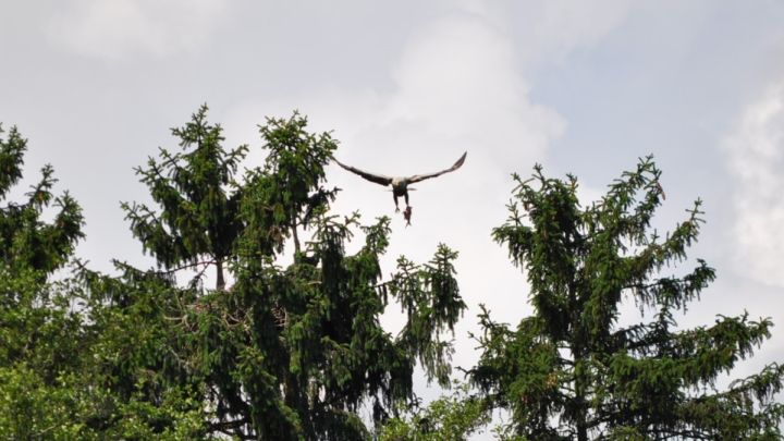 seeadler-tour-boots-berg-3