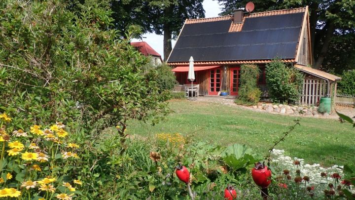 Unser Ferienhaus Rohrdommel von Süden aus