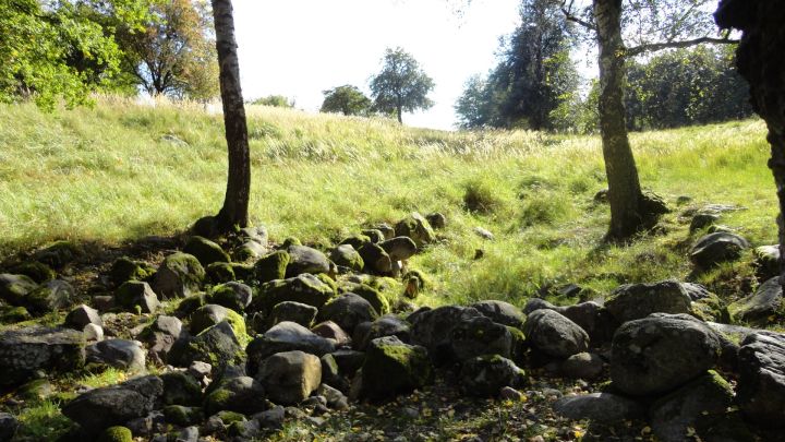 Ursprüngliche Landschaft auf dem Hullerbusch