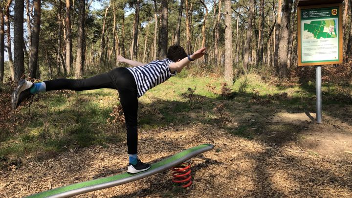 Therapie im Heilwald Quetziner Tannen