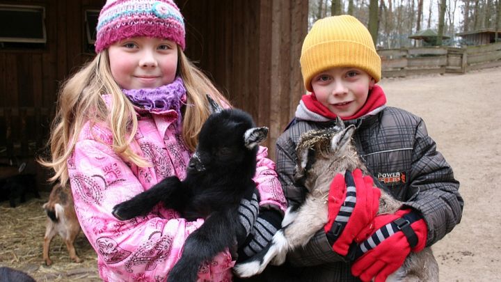 Besonders beliebt bei den Kindern: der Streichelzoo und weitere begehbare Gehege