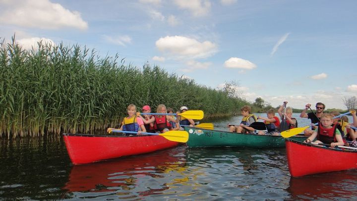 Kanutour Bibersafari auf der Peene