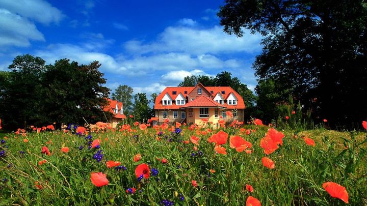 Groß Breesen, Schwerin Plus