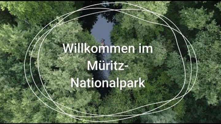 Embedded thumbnail for Willkommen im Müritz-Nationalpark